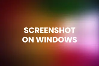 Screenshot on Windows desktop